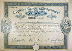 Aptfalvai Takarkpnztr Rszvnytrsasg ideiglenes rszvny 100 korona 1903