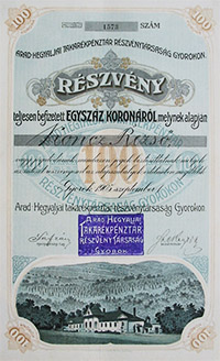 Arad-Hegyaljai Takarkpnztr Rszvnytrsasg  Gyorokon rszvny 100 korona 1905