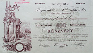 Bajavidki Takarkpnztr Rszvnytrsasg rszvny 400 korona 1905 Baja