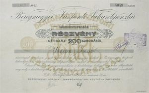 Beregmegyei Kzponti Takarkpnztr Rszvnytrsasg rszvny 200 korona 1913