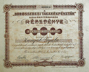 Borossebesi Takarkpnztr Rszvnytrsasg rszvny 100 korona 1911 Borossebes