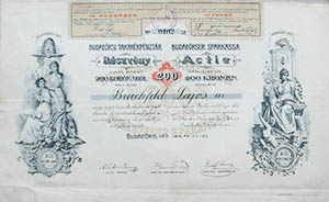Budaersi Takarkpnztr Rszvnytrsasg rszvny 200 korona 1901 Budars