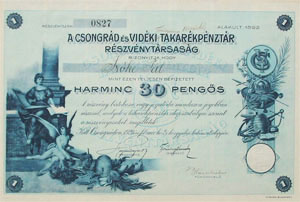 Csongrd s Vidki Takarkpnztr Rszvnytrsasg rszvny 30 peng 1929
