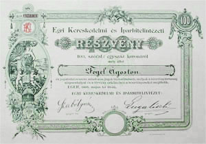 Egri Kereskedelmi s Iparhitelintzet rszvny 100 korona 1895