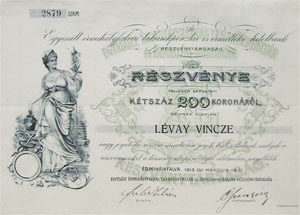 Egyeslt rmihlyfalvai Takarkpnztr s rmellki Hitelbank Rszvnytrsasg rszvny 200 korona 1913