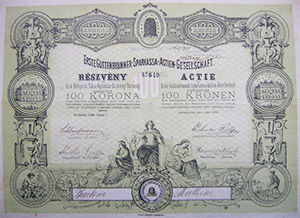 Els Hidegkuti Takarkpnztr Rszvnytrsasg rszvny 100 korona 1899 Hidegkut