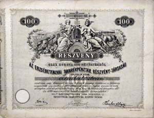 Erzsbetfalvai Takarkpnztr Rszvnytrsasg rszvny 100 korona 1899