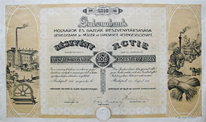 Gabonabank Molnrok s Gazdk Rszvnytrsasga rszvny 100 korona 1911