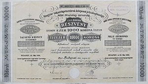 Magyar Takarkpnztrak Kzponti Jelzlogbankja rszvny 10000 korona 1924