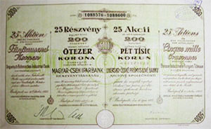 Magyar-Cseh Iparbank Rszvnytrsasg rszvny 25x200 5000 korona 1923