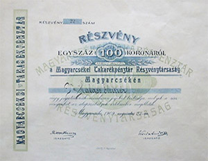 Magyarcskei Takarkpnztr Rszvnytrsasg rszvny 100 korona 1909