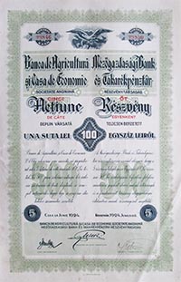 Mezgazdasgi Bank s Takarkpnztr Rszvnytrsasg rszvny 5x100 lei 1924 Kolozsvr