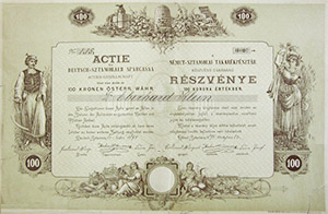 Nmetsztamorai Takarkpnztr Rszvnytrsasg rszvny 100 korona 1894 Nmetsztamora