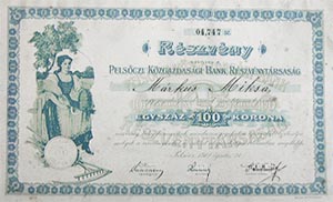 Pelsczi Kzgazdasgi Bank Rszvnytrsasg rszvny 100 korona 1912 Pelsc