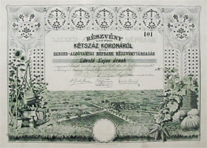 Szeged-Alstanyai Npbank Rszvnytrsasg rszvny 200 korona 1906