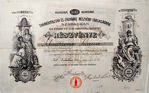 Takarkpnztr s Zloghz Rszvnytrsasg Szabadka rszvny 100 korona 1903
