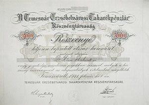 Temesvr Erzsbetvrosi Takarkpnztr Rszvnytrsasg rszvny 500 korona 1911