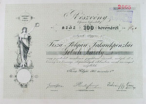 Tisza-polgri Takarkpnztr Rszvnytrsasg rszvny 100 korona 1907