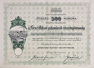 Terno Asbest Palamvek Rszvnytrsasg rszvny 500 korona 1911 Srospatak