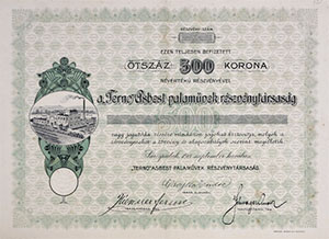 Terno Asbest Palaművek Részvénytársaság részvény 500 korona 1911 Sárospatak