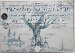 Magyar ltalnos Fatermel Rszvnytrsasg rszvny 200 korona 1924