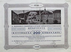 Miskolci Erzsbet-Frd Rszvnytrsasg rszvny 200 korona 1923