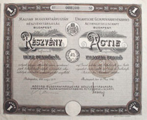 Magyar Ruggyantarugyr Rszvnytrsasg rszvny 20 peng 1926