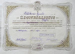 Esztergom s Vidke Hitelszvetkezet zletrszjegy 100000 korona 1924