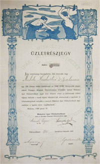Miskolczi Ipari Hitelszvetkezet zletrszjegy 100 korona 1904 Miskolc