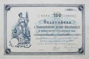 Torontlvrmegyei Kzponti hitelszvetkezet zletrsz 100 korona 1900 Nagybecskerek