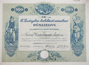 Bodrogkzi Lenkikszt Szvetkezet rszjegy 500 korona 1907 Perbenyik