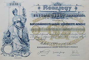 Borsodvrmegyei Gazdk Szvetkezete rszjegy 100 korona 1920 Miskolcz