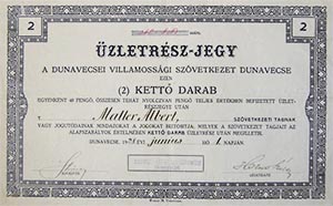 Dunavecsei Villamossgi Szvetkezet Dunavecse zletrsz-jegy 2x40 80 peng 1928