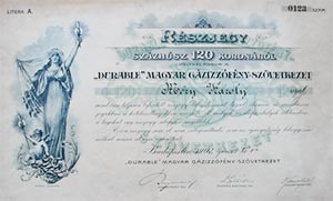 Durable Magyar Gzizzfny Szvetkezet rszjegy 120 korona 1902