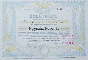 Kve Ruhzati ruhz Szvetkezet zletrsz 100 korona 1921