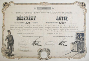 Boros-Sebesi Bnyam Rszvnytrsasg rszvny 120 korona 1902