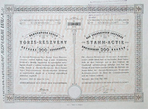 Szatmr-Mtszalkai Helyi rdek Vast Rszvnytrsasg trzsrszvny 200 korona 1908
