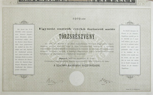 Szatmr-Nagybnyai Vasttrsasg trzsrszvny 100 forint 1883