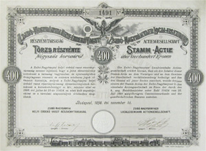 Zsib-Nagybnyai Helyi rdek Vast Rszvnytrsasg trzsrszvny 400 korona 1898