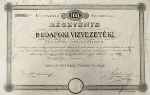 Budafoki Vzvezetki Rszvnytrsasg rszvny 100 korona 1899