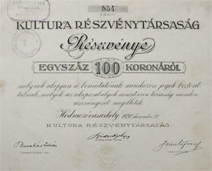 Kultra Rszvnytrsasg rszvny 100 korona 1920 Hdmezvsrhely