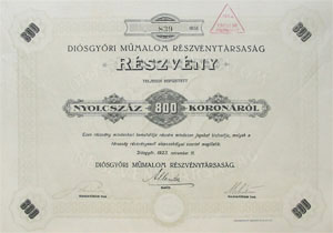 Disgyri Mmalom Rszvnytrsasg rszvny 800 korona 1923