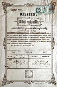 Mez-bernyi Gzmalom Rszvnytrsasg rszvny 80 forint 1872 Mezberny