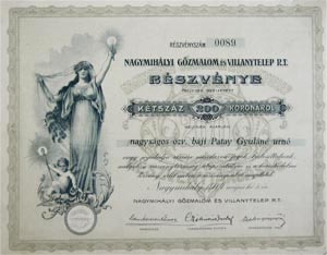Nagymihlyi Gzmalom s Villanytelep Rszvnytrsasg rszvny 200 korona 1914 Nagymihly