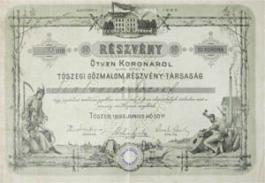 Tszegi Gzmalom Rszvnytrsasg rszvny 50 korona 1893 Tszeg