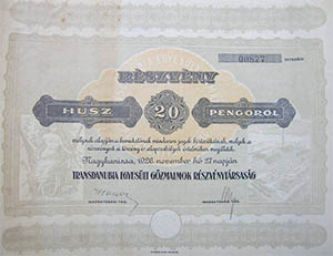 Transdanubia Egyeslt Gzmalmok Rszvnytrsasg rszvny 20 peng 1926 Nagykanizsa