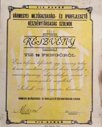 Vrmegyei Mezgazdasgi s Iparfejlesztsi Rszvnytrsasg Szolnok rszvny 10 peng 1927