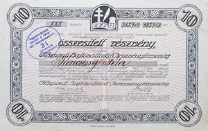 Kzponti Sajtvllalat Rszvnytrsasg rszvny 10x25 korona 1920