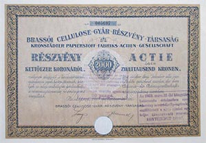 Brassi Cellulose Gyr Rszvnytrsasg rszvny 2000 korona 1923