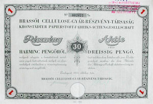 Brassi Cellulose Gyr Rszvnytrsasg rszvny 30 peng 1935